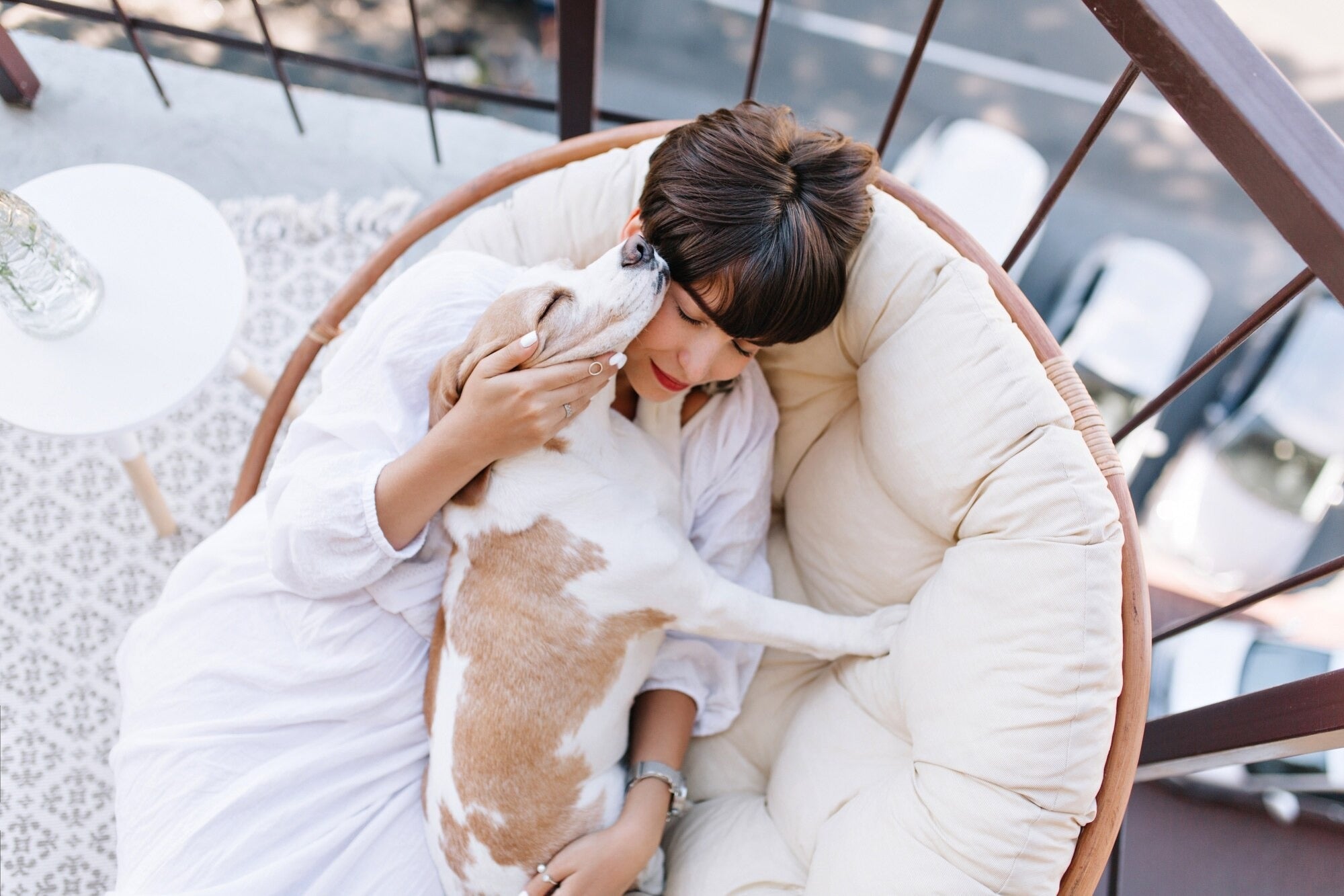 COZY PET BEDS FOR SWEET SLEEP